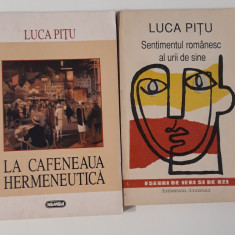 Luca Pitu La cafeneaua hermeneutica / Sentimentul romanesc al urii de sine