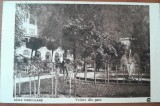 Carte postala, Baile Herculane, vedere din parc, 1926