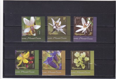 ROMANIA 2019 - FLORILE MUNTILOR, MUNTELE COZIA ,MNH - LP 2252 foto