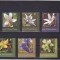 ROMANIA 2019 - FLORILE MUNTILOR, MUNTELE COZIA ,MNH - LP 2252