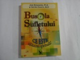 BUSOLA SUFLETULUI Ce inseamna o calauzire spirituala? - Joan Borysenko / Gordon Dveirin