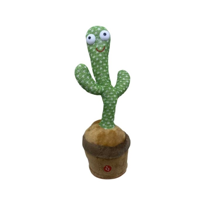 Cactus dansator cu melodii