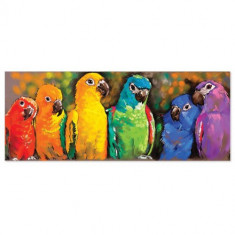 Puzzle 1000 Piese Papagali Curcubeu foto