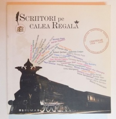 SCRIITORI PE CALEA REGALA , 2008 foto