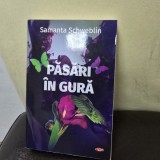 Pasari in gura - Samanta Schweblin