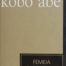 Femeia nisipurilor - Kobo Abe