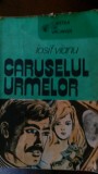 Caruselul urmelor Iosif Vianu 1986