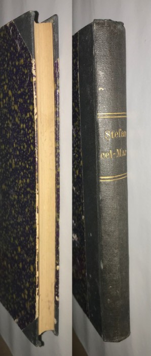 Istoria lui Stefan cel Mare povestita neamului romanesc, Nicolae Iorga, 1904