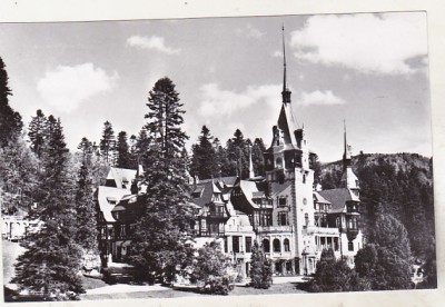 bnk cp Sinaia - Muzeul Peles - necirculata foto