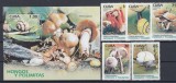 Cuba 2005 - CIUPERCI si MELCI - MNH