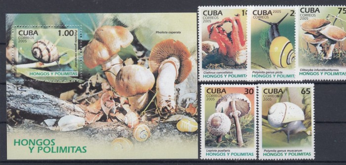 Cuba 2005 - CIUPERCI si MELCI - MNH