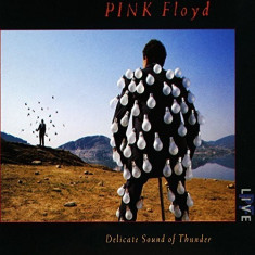 Pink Floyd Delicate Sound Of Thunder Box (2cd) foto