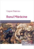 Banul Mărăcine - Paperback brosat - Grigore Băjenaru - Hoffman