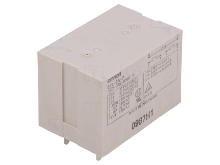 Releu electromagnetic DPST-NO 24VDC