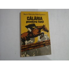 CALARIA PENTRU TOTI - SORIN PETRONIU, FELIX TOPESCU