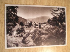 QW23 B - Carte postala - tematica turism - vedere - Romania - Busteni 16