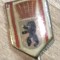 Insigna LEU