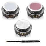 Cumpara ieftin Kit Painted French