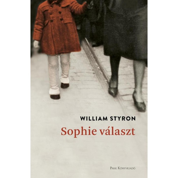 Sophie v&aacute;laszt - William Styron