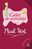 Micul Print - Caiet de activitati - Editura Rao