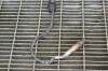 Sonda lambda BMW X5 F15, F85 2016 OEM: 7791592,0281004019 11280169