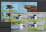 Fauna ,pasari CEPT 2019 ,Moldova.