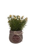 Floricele artificiale decorative in ghiveci ceramic Sweet home, 19 cm, Alb Verde