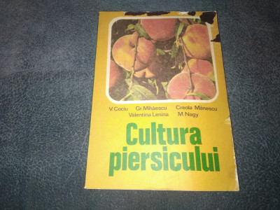 V COCIU - CULTURA PIERSICULUI foto