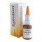 Spray, Veel, Euphorbium, Adjuvant in Inflamatia Tractului Respirator Superior, 20ml