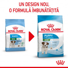 Royal Canin Mini Puppy hrană uscată câine junior, 800g