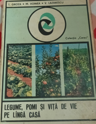 LEGUME,POMI SI VITA DE VIE PE LANGA CASA T. GROZA foto