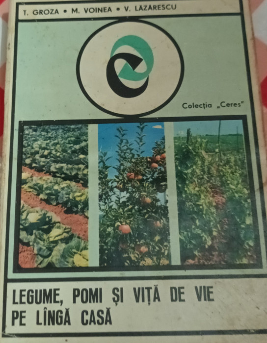 LEGUME,POMI SI VITA DE VIE PE LANGA CASA T. GROZA