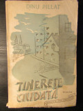 Dinu Pillat , Tinerete ciudata , Editura Moderna , 1943 , editia 1