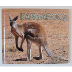 KANGAROOS , MEET DESERT ANIMALS by ROSE DAVIN , 2017