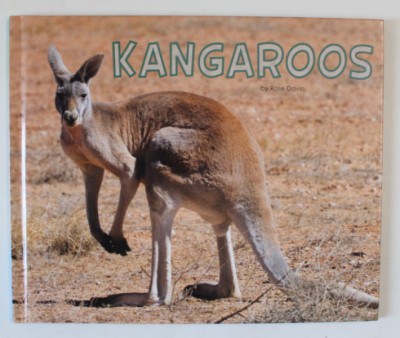 KANGAROOS , MEET DESERT ANIMALS by ROSE DAVIN , 2017 foto