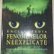 Judy Allen - Enciclopedia fenomenelor neexplicate