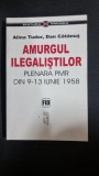 Amurgul ilegalistilor plenara PMR din 9-13 iunie 1958 - Alina Tudor si Dan Catanus