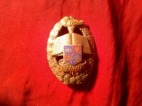 Insigna ALMA MATER - Academia Militara - insigna ofiteri , metal si email , h=6cm