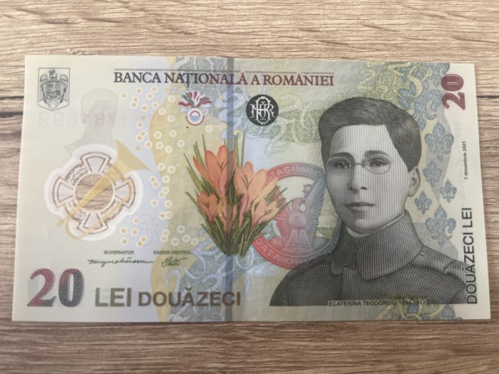 Bancnote ecaterina teodoroiu