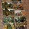 lot 10 carti postale Buzias circulate necirculate jud Timis