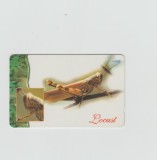 bnk card Cartele telefonice - Singapore - Singapore Telecom - Locust - Col:113SIGE??