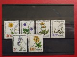 POLONIA 7