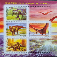Dinozauri din Tara Hategului, bloc4, colita NMH, nestampilata