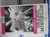 Eduardo Mendoza Orasul minunilor, Univers
