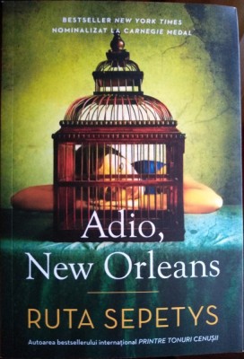 Adio, New Orleans foto