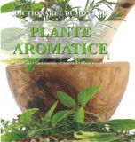 Andrea Rausch - Dictionarul Dumont de plante aromatice
