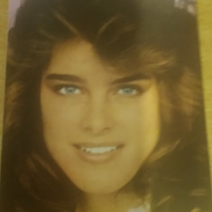 AS 226 - ARTISTI - ACTORI STRAINI - IMAGINE BROOKE SHIELDS