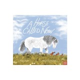A Horse Called Now