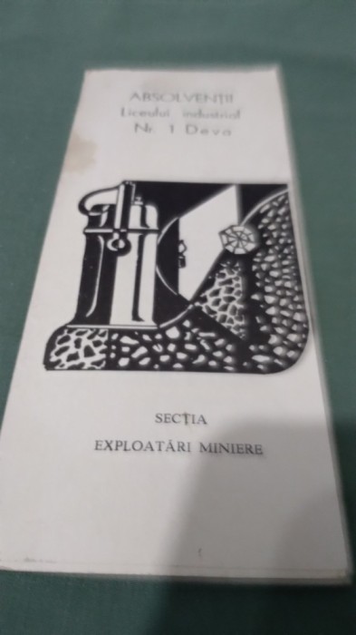 INVITATIE AMINTIRE ABSOLVENTII LICEULUI INDUSTRIAL NR.1 EXPLOATARI MINIERE IV A DEVA 1980 -1981