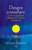 Cumpara ieftin Despre consolare. Cum să-ți găsești alinarea &icirc;n vremuri &icirc;ntunecate - Michael Ignatieff, Trei